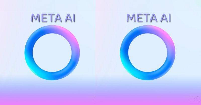 Instagram.com/the.dokie