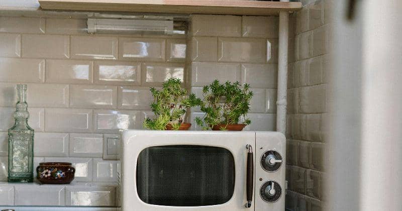 Pexels/cottonbro studio