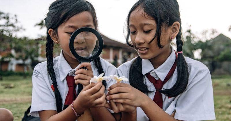 Waiting List Daftar Masuk SD Swasta Sampai 600 Orang Lebih, Kok Bisa?