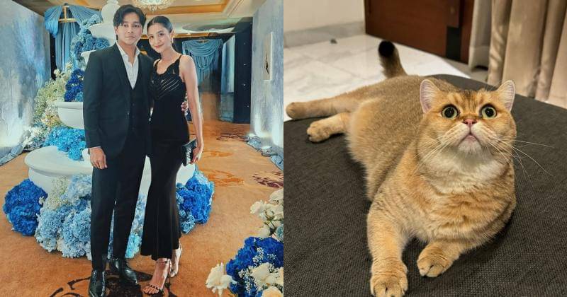 Instagram.com/mahenracats