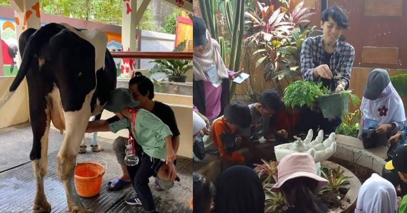 11 Tempat Wisata Sentul Ramah Anak Buat yang Mau Liburan! | Popmama.com