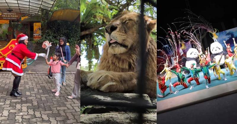 Instagram.com/taman_safari