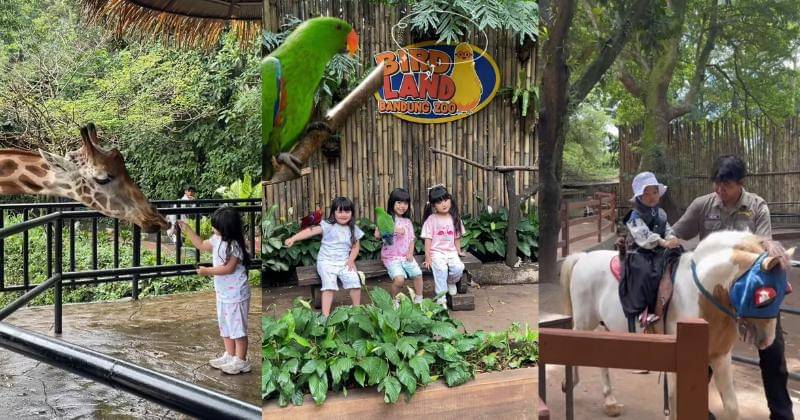 Instagram.com/bandung_zoo