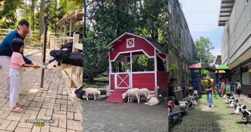 Instagram.com/dairyland.riverside