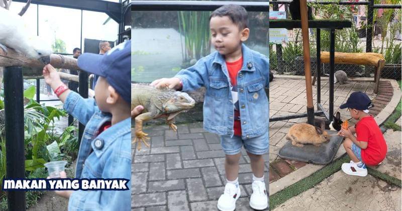 Instagram.com/lembang_parkzoo