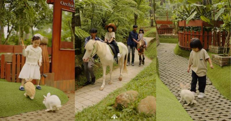 Instagram.com/orchidforestcikole