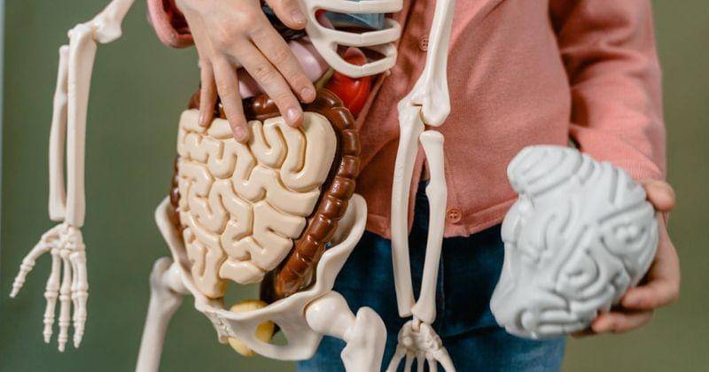 Pexels/MART PRODUCTION