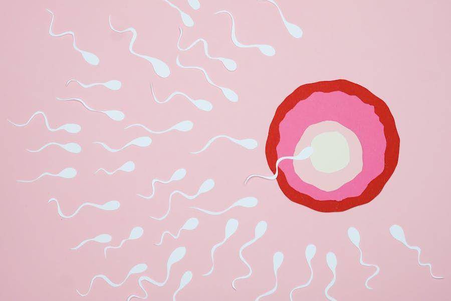 ilustrasi sperma dan sel telur (pexels.com/Nadezhda Moryak)