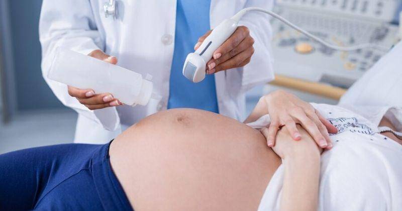 Freepik/wavebreakmedia_micro