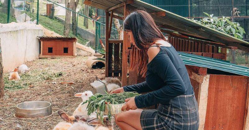 Instagram.com/Akasha.bgr