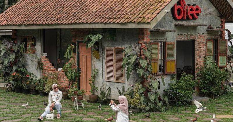 Instagram.com/Bree_cijeruk