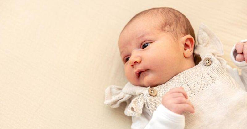 Freepik/pvproductions