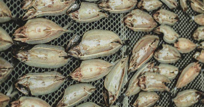 Pexels/ArtHouse Studio