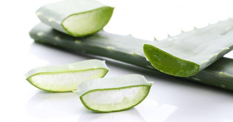 Freepik/Racool_studio