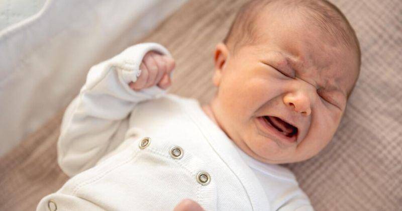 Freepik/pvproductions