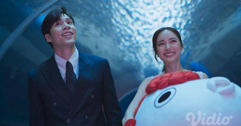 Dok. Vidio/Dear My Secretary