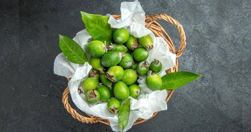 freepik/KamranAydinov