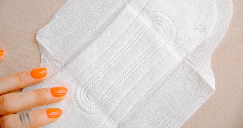 Pexels/Polina Zimmerman