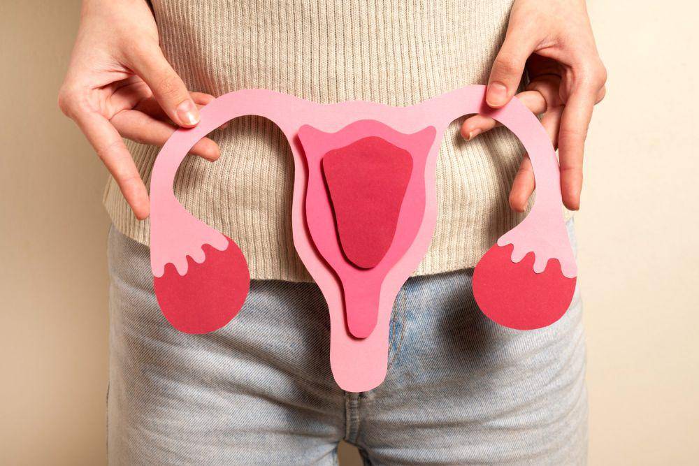 ilustrasi peraga vagina wanita (freepik.com/freepik)