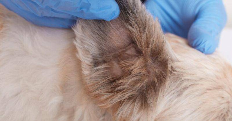 Freepik/User18526052