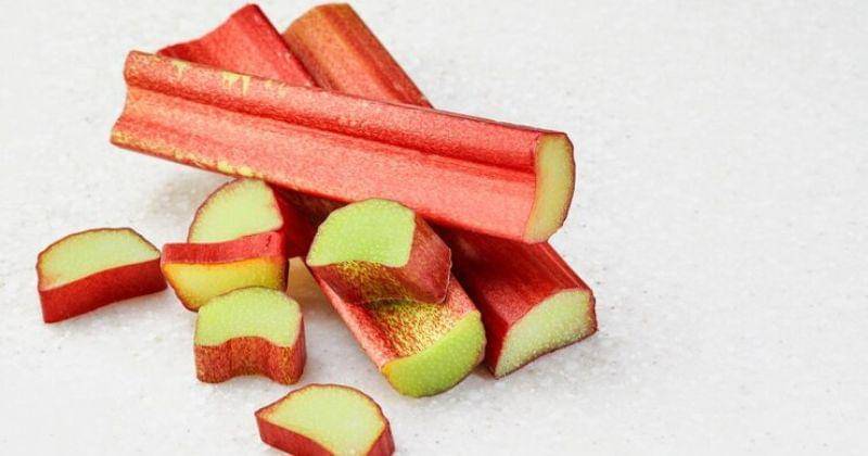 Freepik/ededchechine