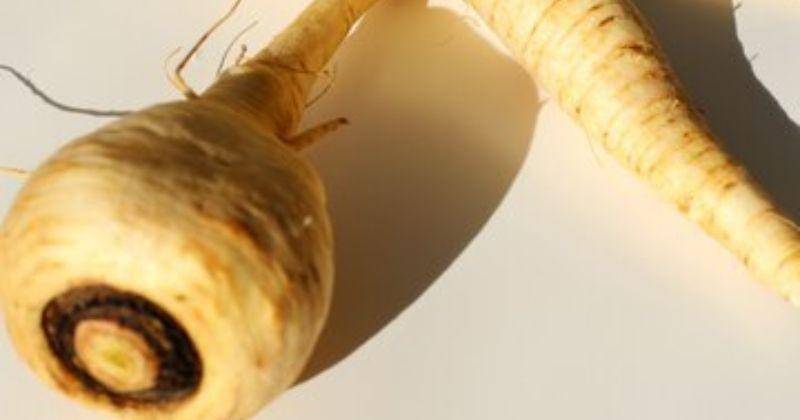 Freepik/Racool_studio