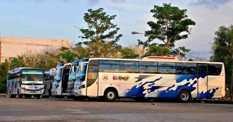 Instagram.com/busmaniacom