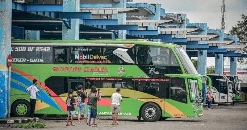 Instagram.com/busmaniacom