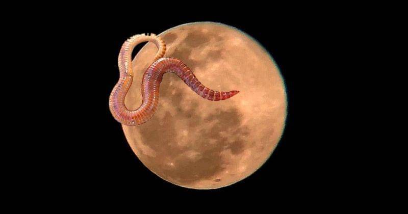 Youtube.com/Kiersanchez