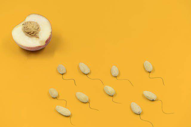 ilustrasi sperma berenang menuju sel telur (pexels.com/Bedbible .com)