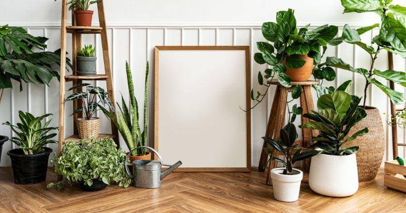 Freepik/rawpixel.com