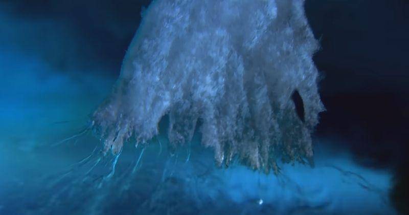 Apa Itu Brinicle, Fenomena Tornado Es di Bawah Laut | Popmama.com