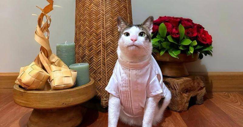 Instagram.com/bobbykertanegara