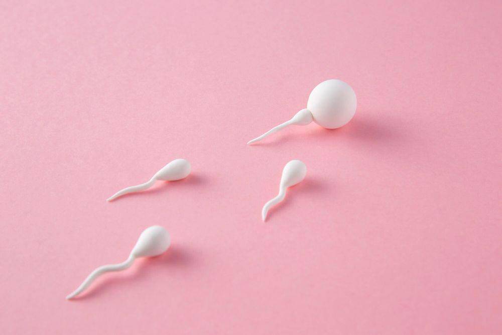 ilustrasi sperma (freepik.com/freepik)