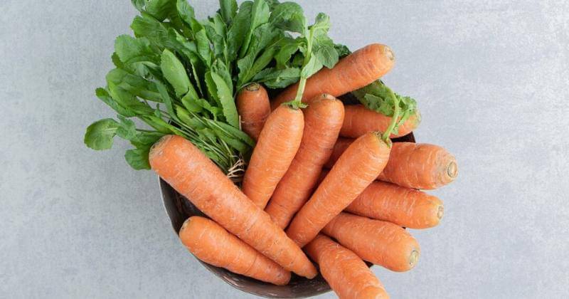 freepik/azerbaijan_stockers