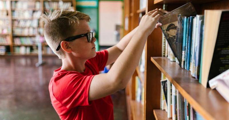 Pexels/RDNE Stock Project