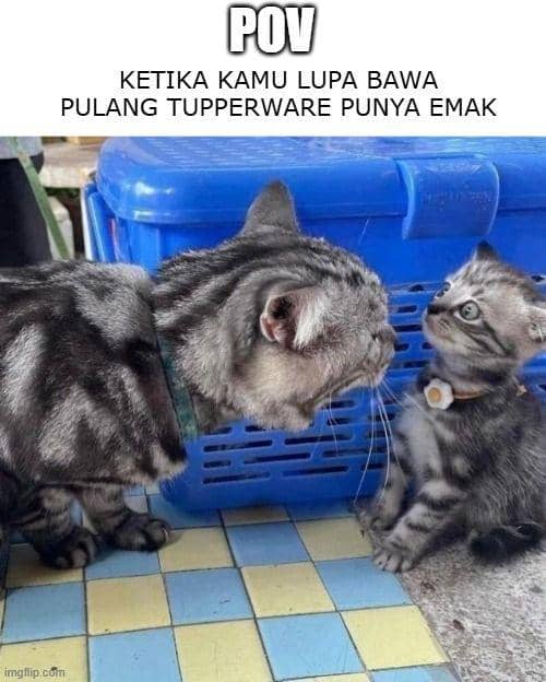 7 Meme Mama Muda Capek Ngurus Anak, Bikin Ngakak!