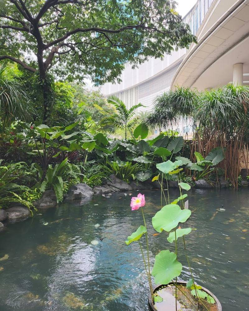 Google.com/Taewon Kim (ATOMY BROADCASTING)