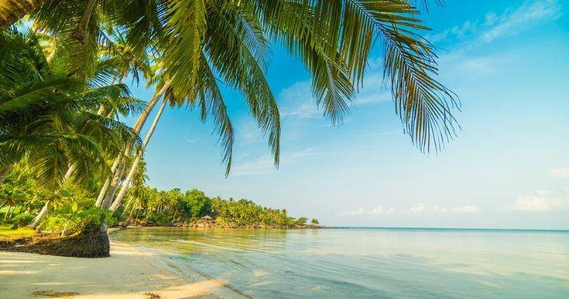 Freepik/lifeforstock