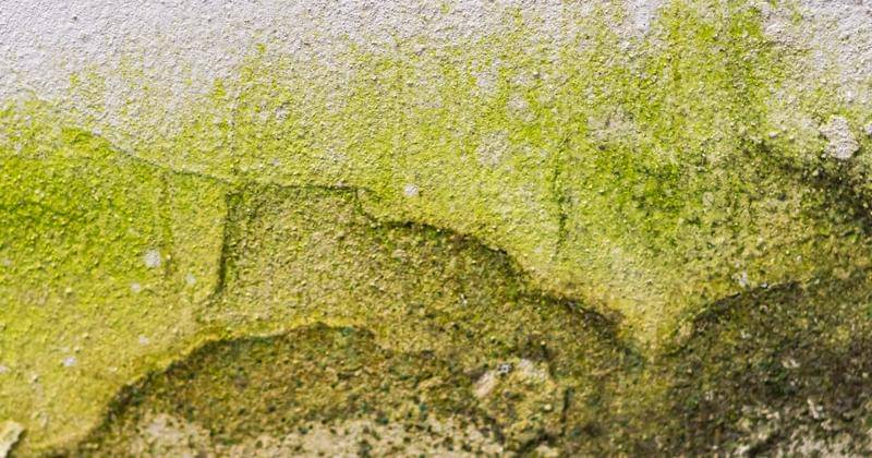 Freepik/Mateus Andre