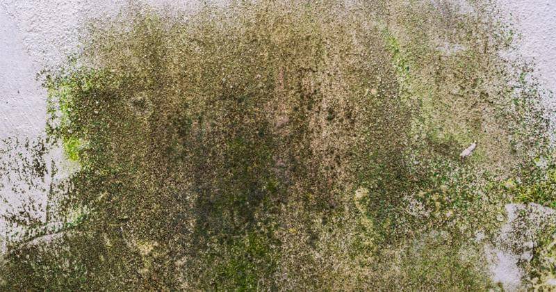 Freepik/Mateus Andre