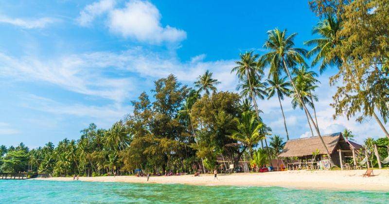 Freepik/lifeforstock