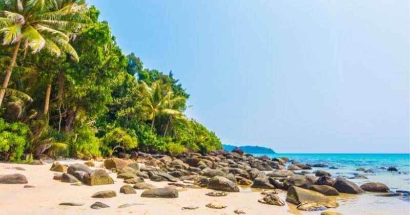 Freepik.com/mrsiraphol