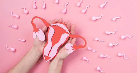 Kesehatan Reproduksi perempuan (1).png