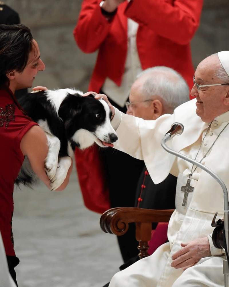 paus-fransiskus 3.png