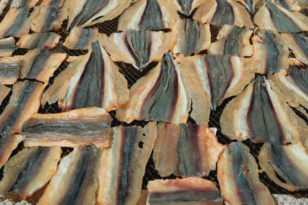 Cara Menyimpan Ikan Asin agar Tahan Lama