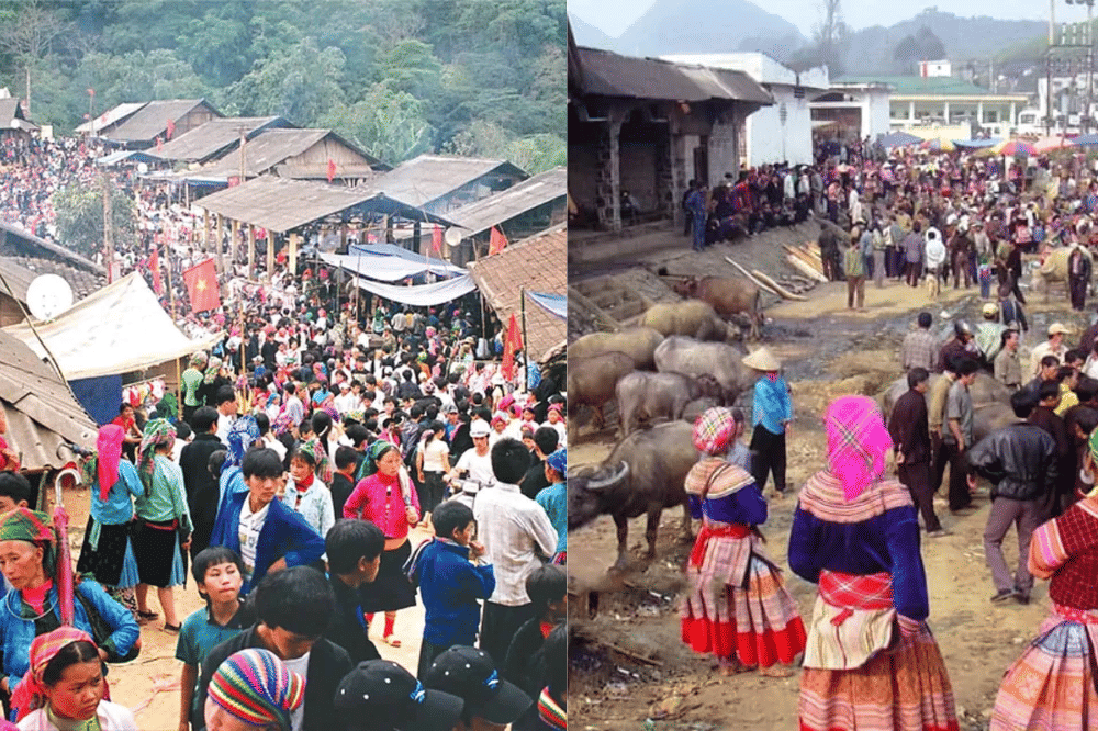 vietnam to go places - qun beach (1).png