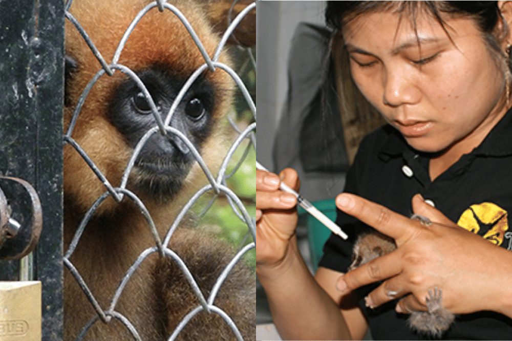 vietnam to go places - dao tian.png