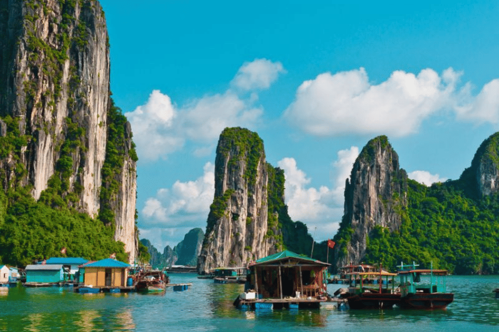 vietnam to go places - dao tian (1).png