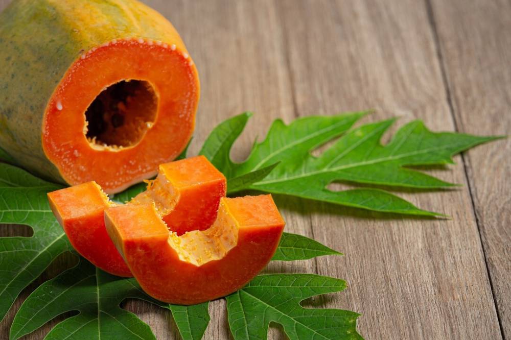 Bolehkah Ibu Menyusui Makan Pepaya Setiap Hari Ini Penjelasannya! (6).png